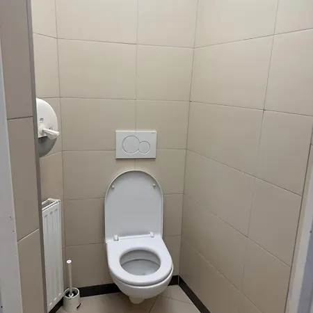 Urban Loft 公寓 Goltsch Jenikau